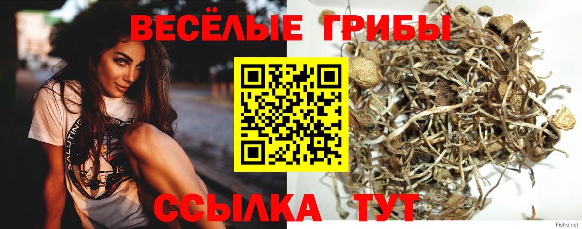 Галлюциногенные грибы мицелий Мурманск