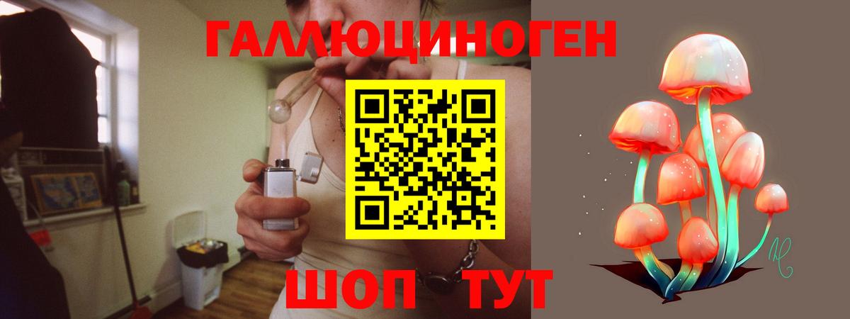 Мурманск  Галлюциногенные грибы Psilocybine cubensis  Вход с VPN 